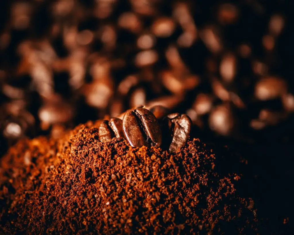How Long To Grind Coffee Beans
